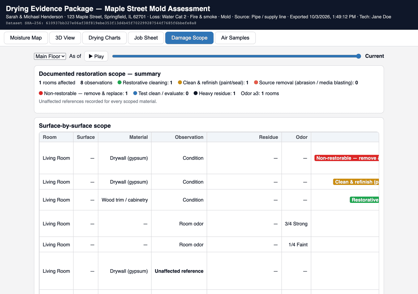 Damage Scope tab of the Evidence Package: a documented restoration scope summary and a surface-by-surface table of material, observation, residue, odor and action.